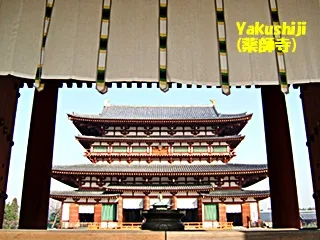 薬師寺320.jpg