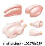 stock-vector-raw-fresh-chicken-parts-set-vector-realistic-illustration-of-whole-chicken-breast-breast-halves-1022786989.jpg