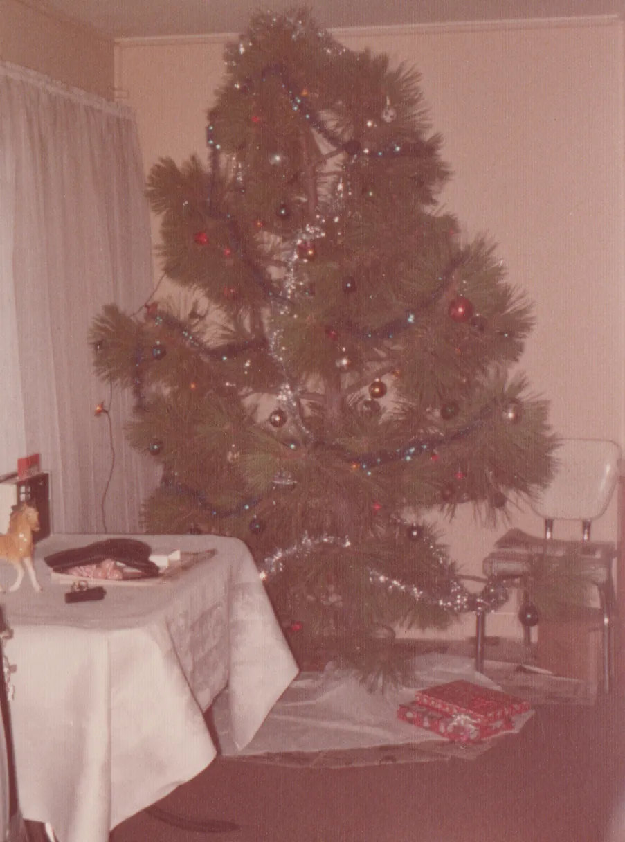 1974-01 - Christmas tree, etc, 2pic developed in Jan 74, could be from Dec, not sure, 2pic-2.png