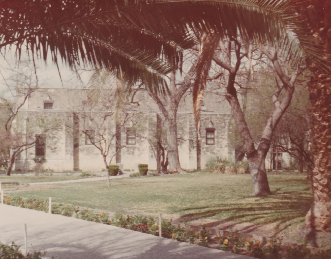 1975-03-26 - Wednesday - San Antonio, no dates on these pic-02 - Lawn, building, trees, 11pics.png