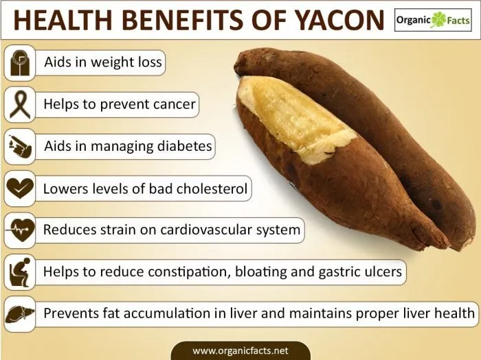 Health Benefits Of Yacon