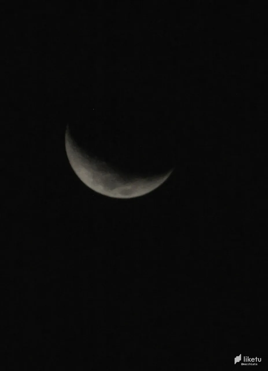 405opfol2yf3df1_DSC05136.jpg