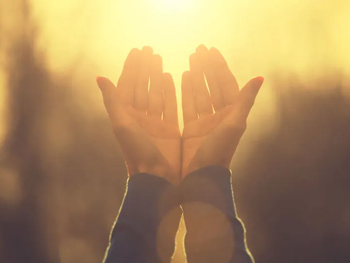 https://masfe.org/temas/para-meditar/aprendi-ser-agradecido/