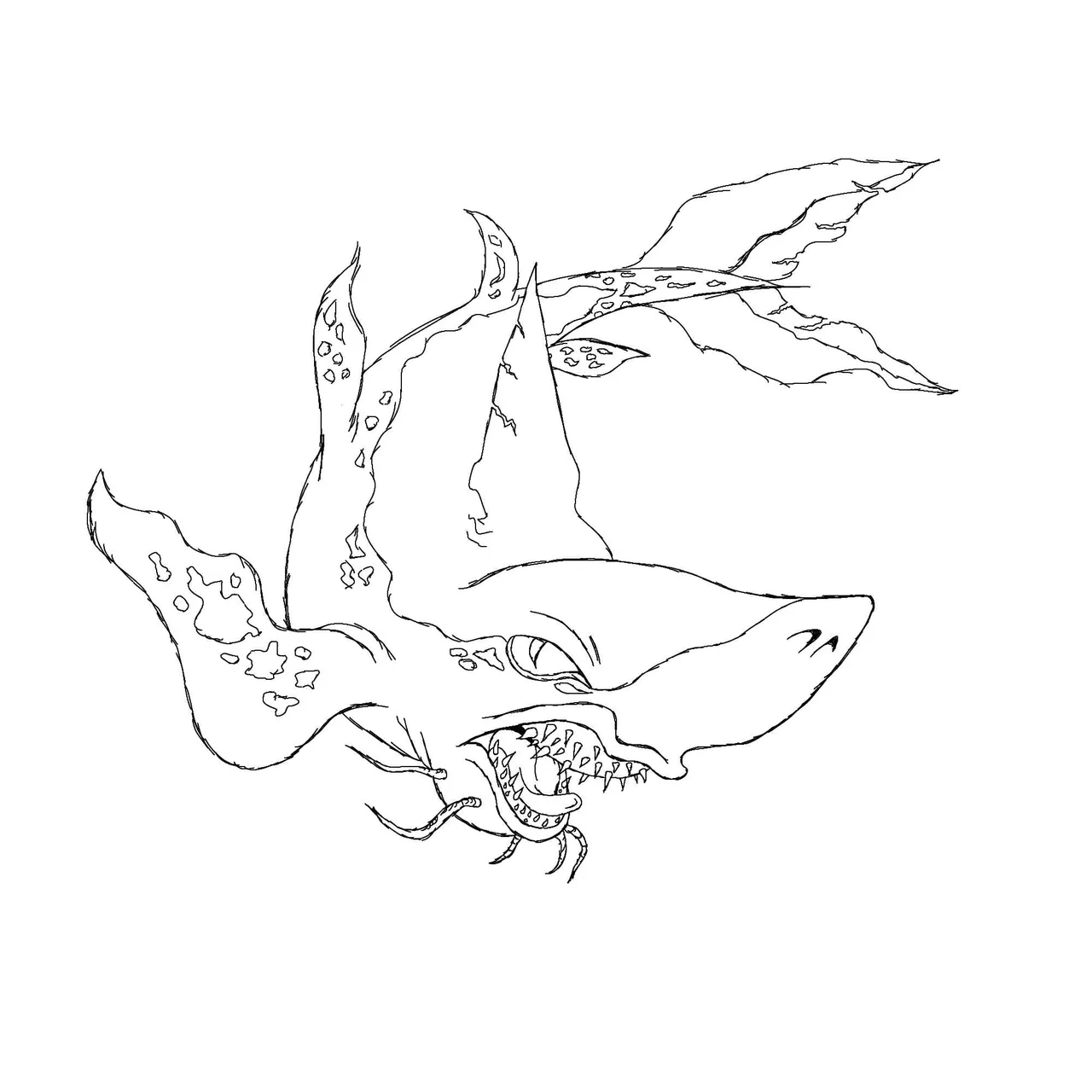 Shark5.jpg