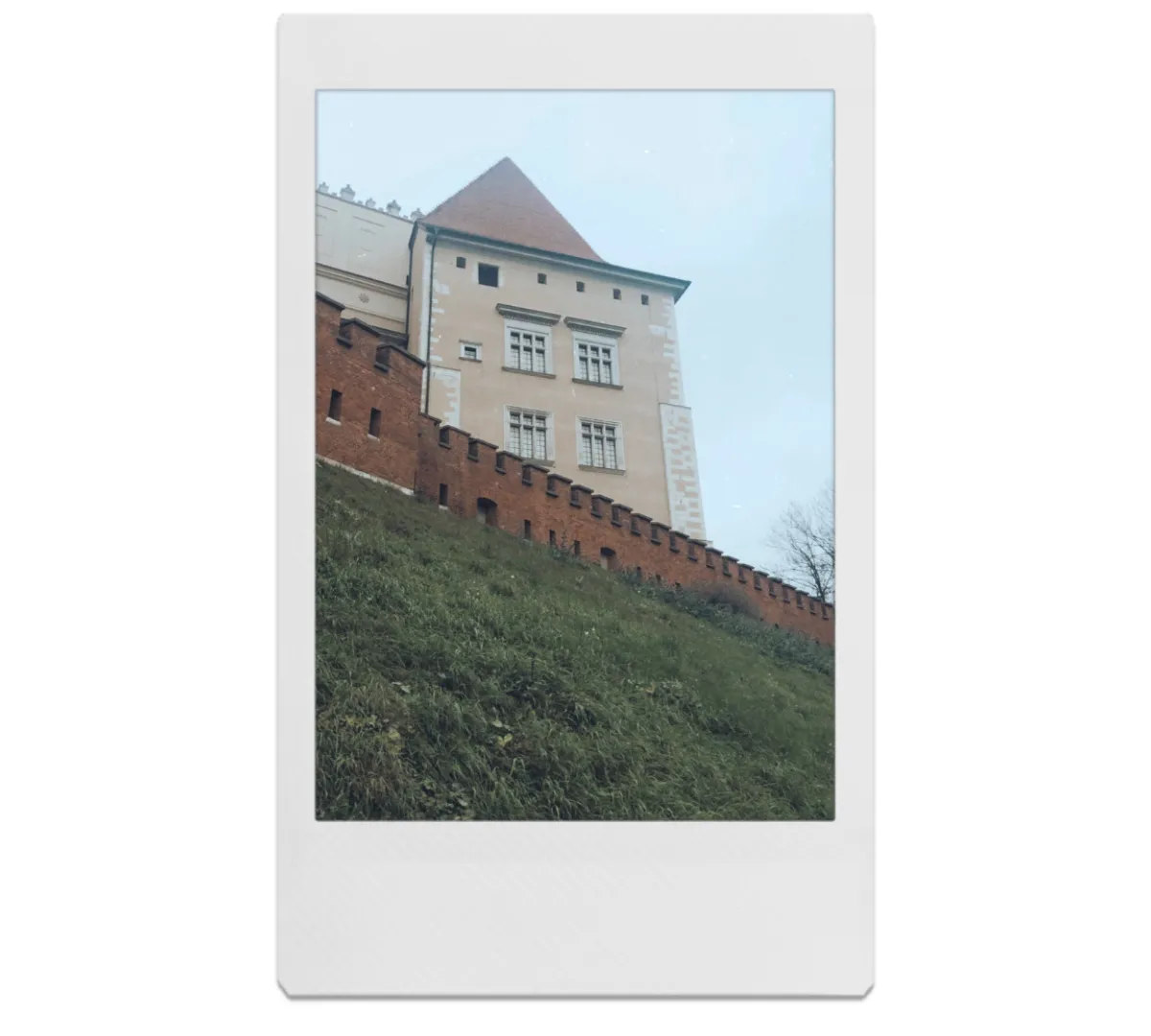 obraz.png