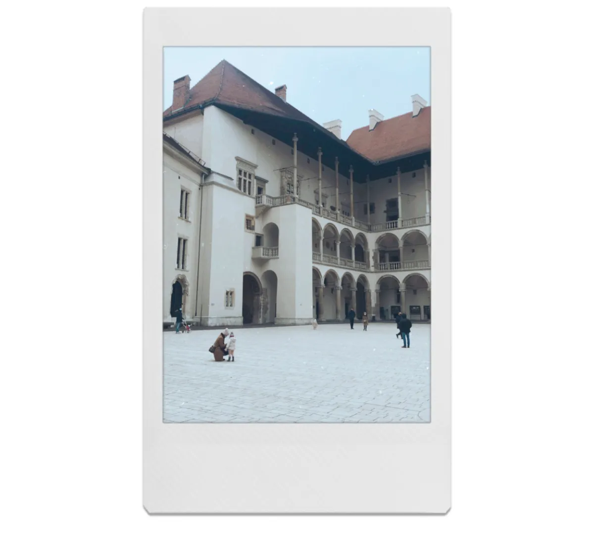obraz.png