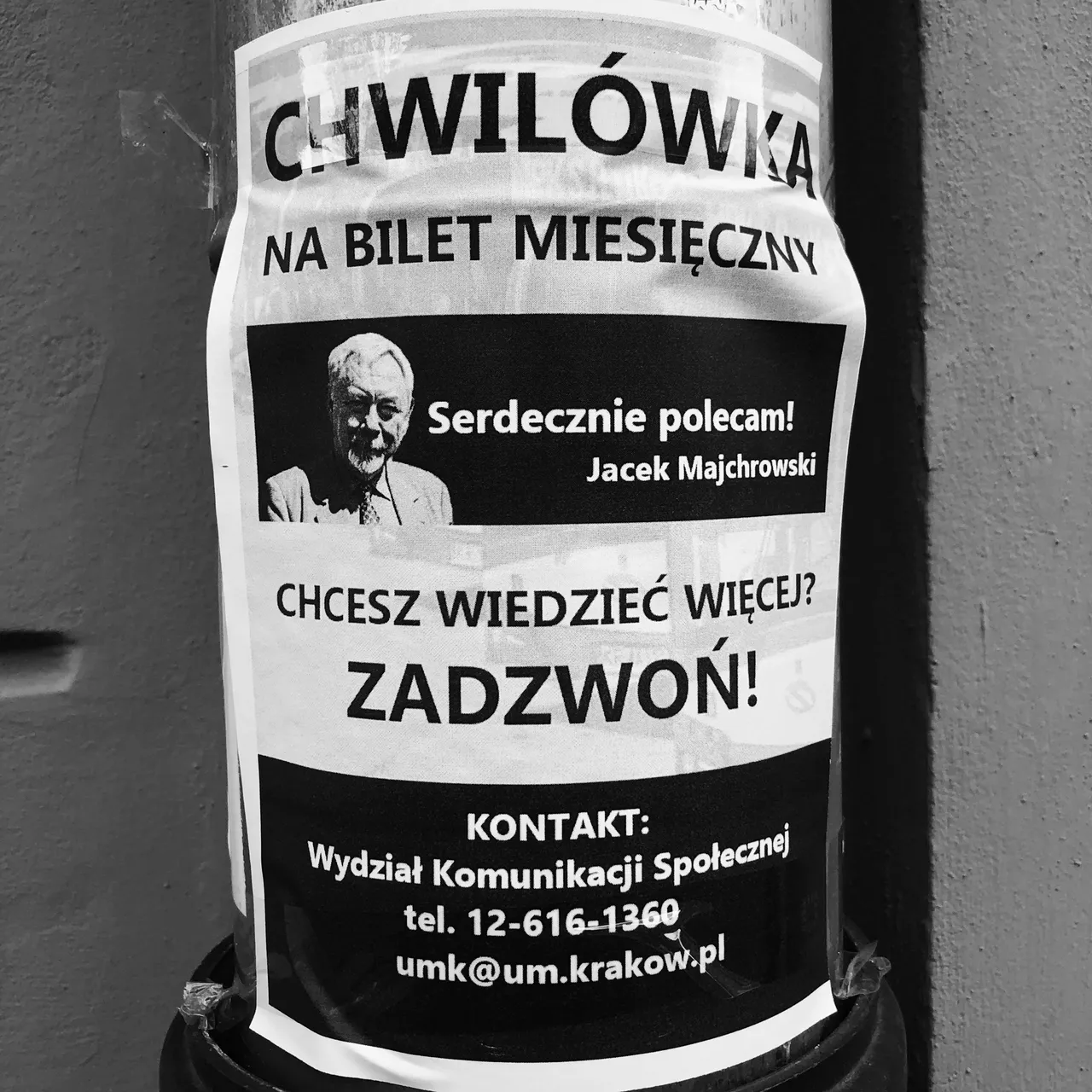 obraz.png