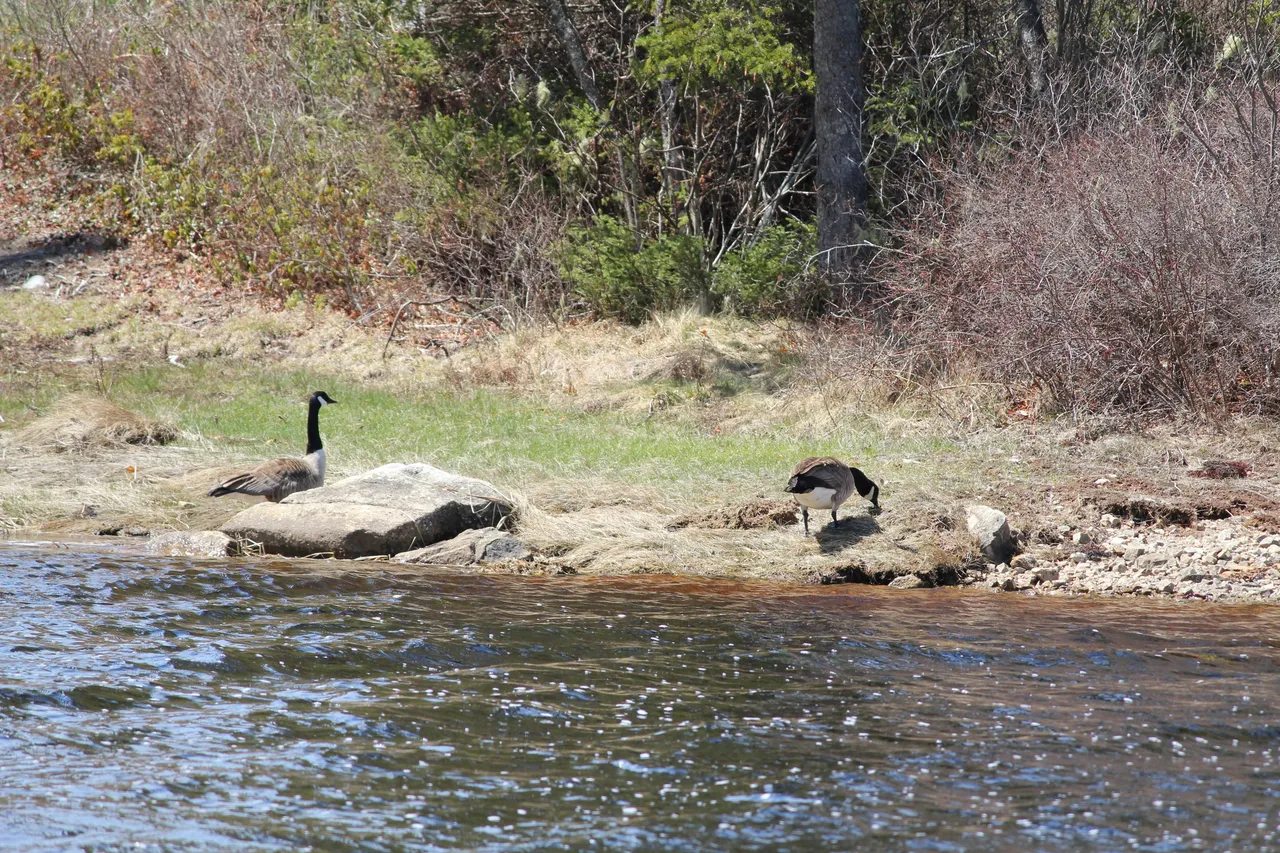 IMG_4628.JPG