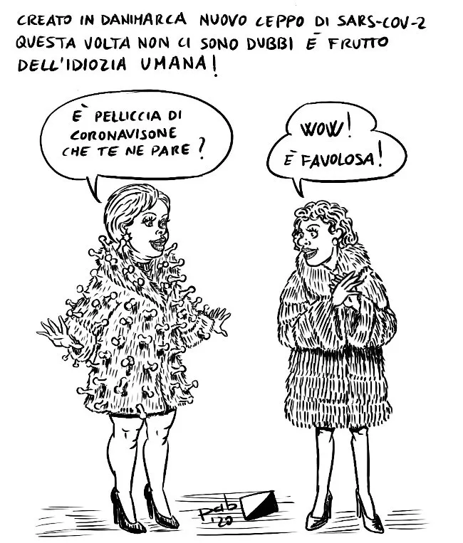 visoni.jpg