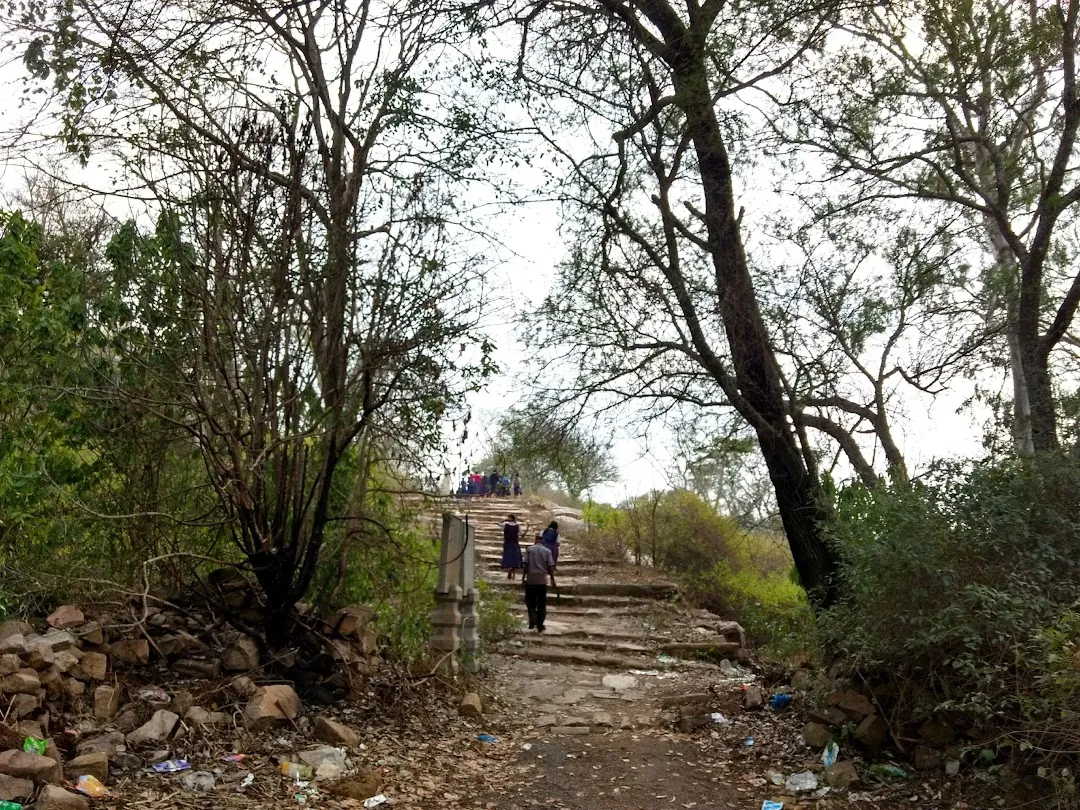 Image taken from World Orgs. This is the path to Roya Gopura