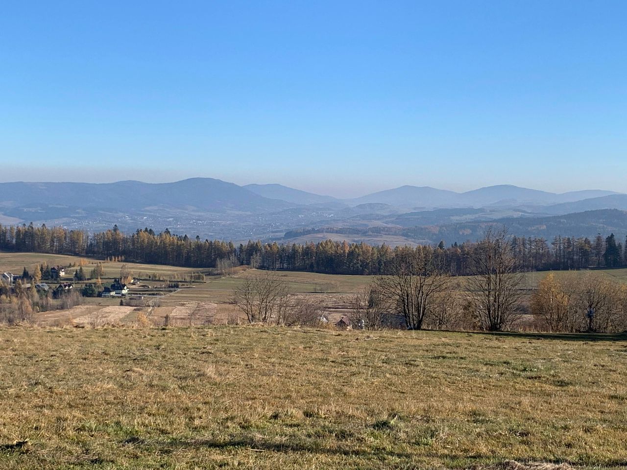 Widok z Bukowińskiego Wierchu / View from Bukowiński Wierch
