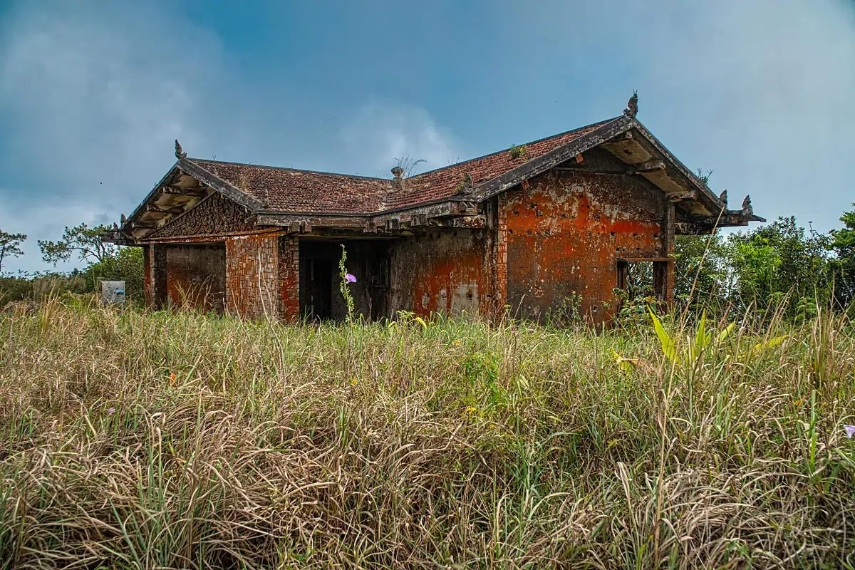 Abandoned buildings are now home for...