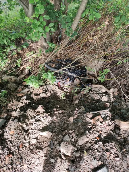 Bike found in some bushes