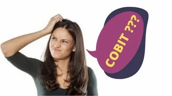 what is cobit