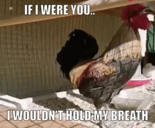 untitled.gif