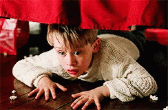 untitled.gif