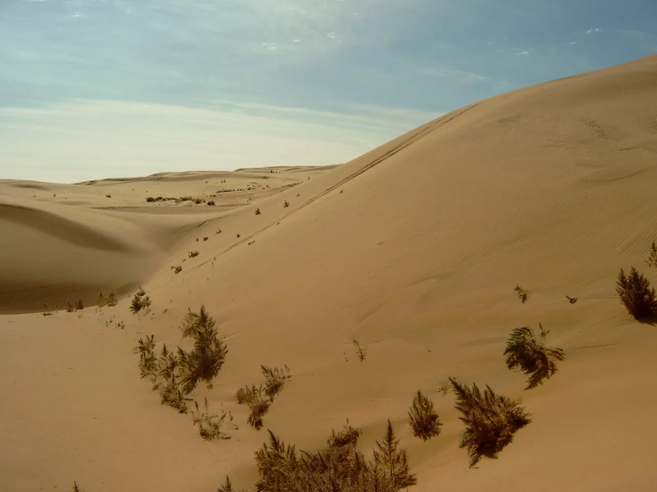 gobi desert