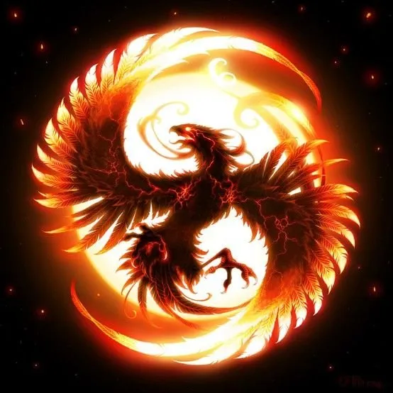 phoenix-dualitye9c39.jpg