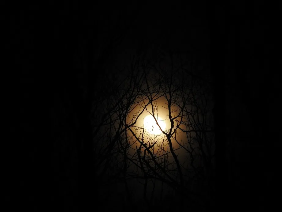 Waning Gibbous Moon