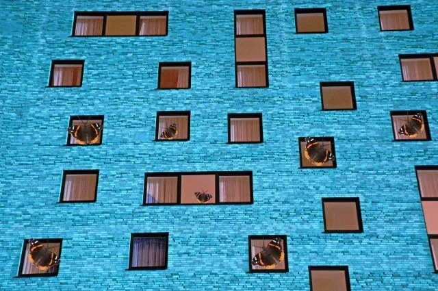 Four Funky Flutterby Fotos Times Two