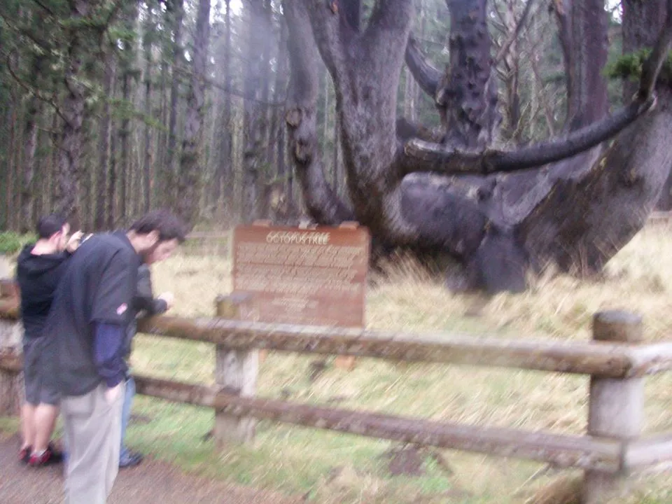 2012-02-12 - Sunday - 08:13 PM 324720_254506321292294_1863045368_o.jpg