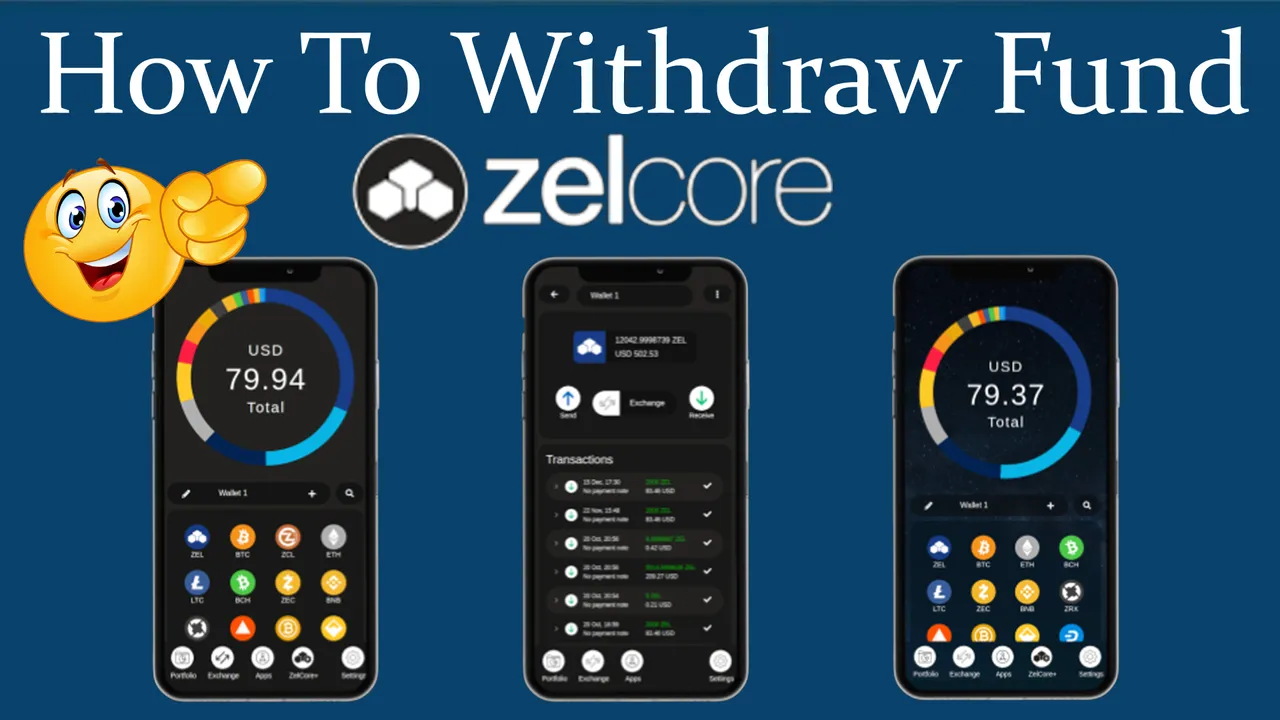How To Withdraw Fund from Zelcore Wallet by Crypto Wallets Info.jpg