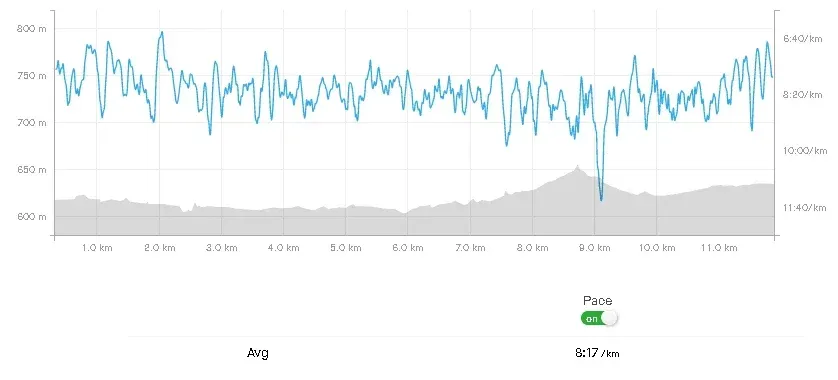 clvsq248h002jrjsz56mu5y4c_Screenshot_2024-05-04_at_17-53-20_Carrera_a_la_hora_del_almuerzo_Run_Strava.webp
