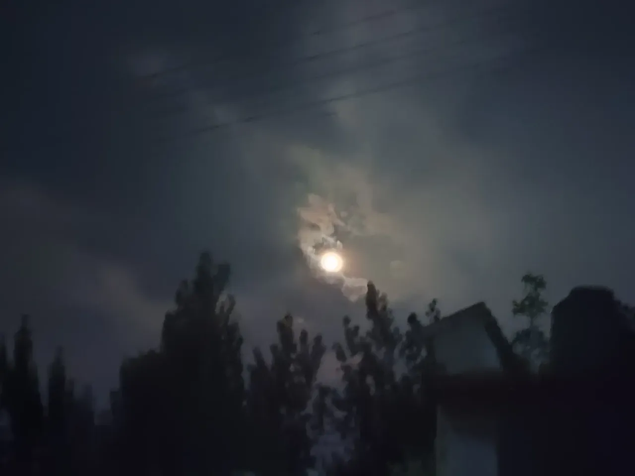 IgNdDq5XrEUrgqsl_IMG20230731212016.webp