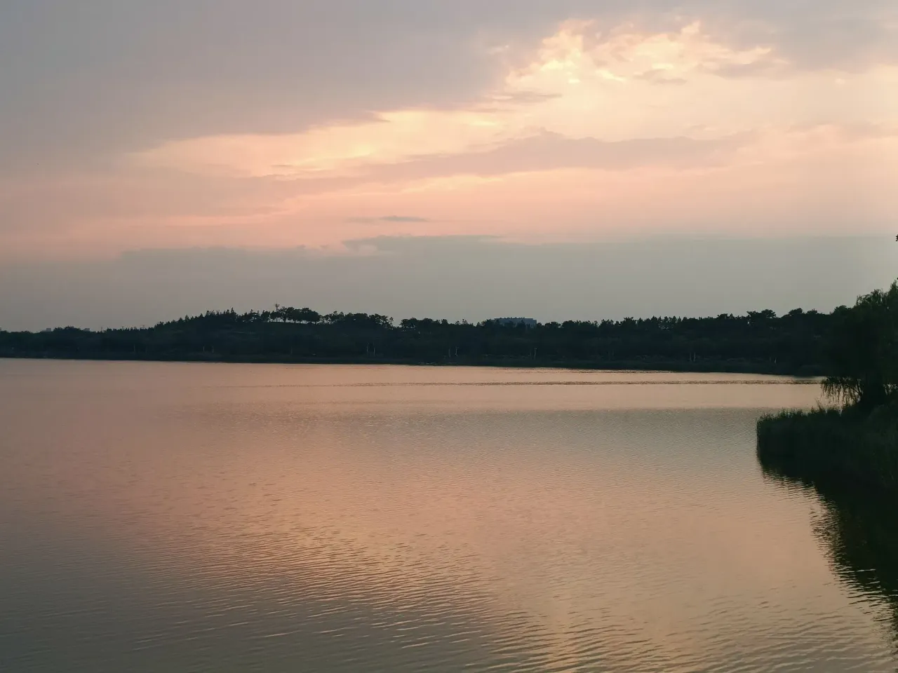 O0LDEXg4DzKeyVCb_IMG20250715192149.webp