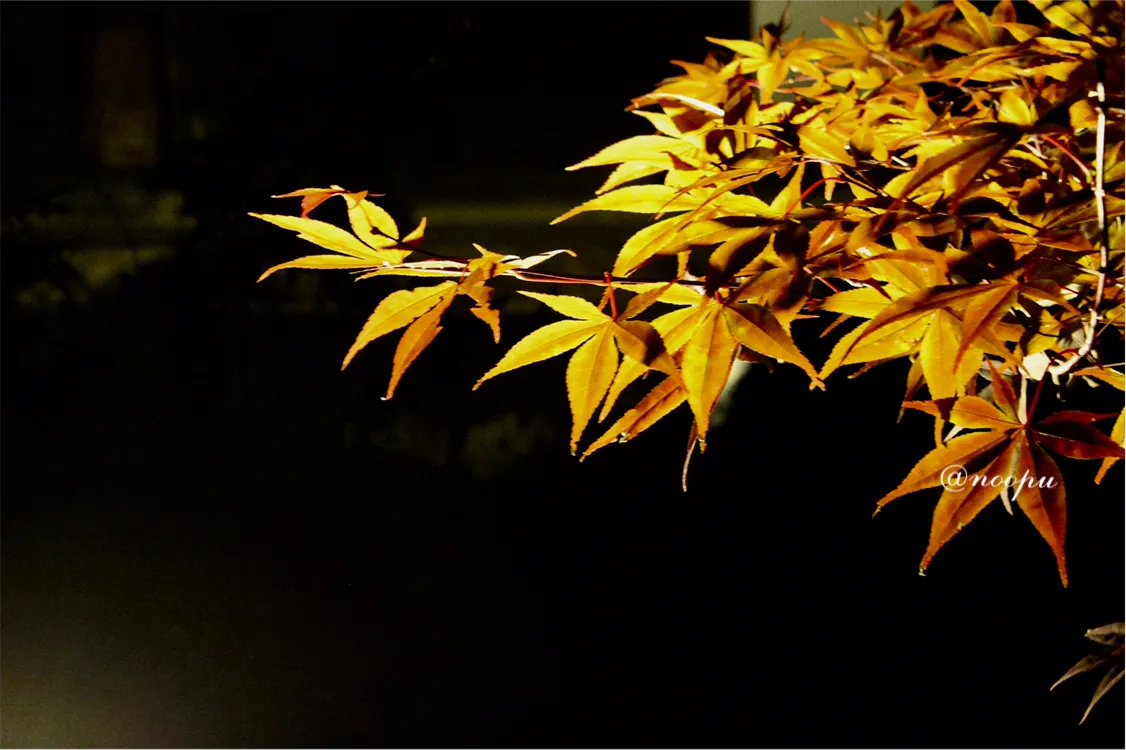 5471DD47-546C-4AB3-8F22-E33D5A8A6C14.jpeg