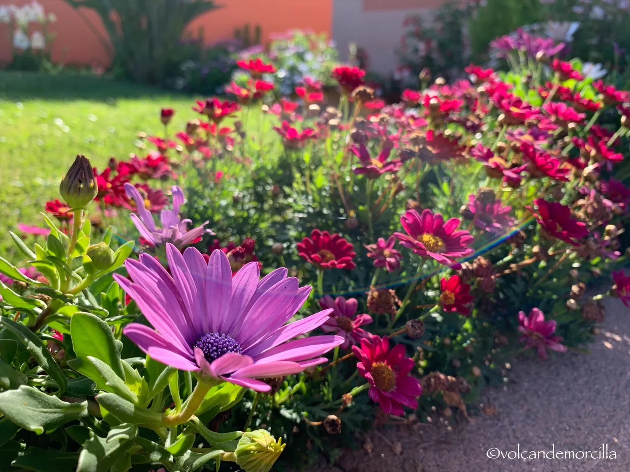 5417D6F3-ED19-4699-B2C9-EF32FB3420C6.jpeg