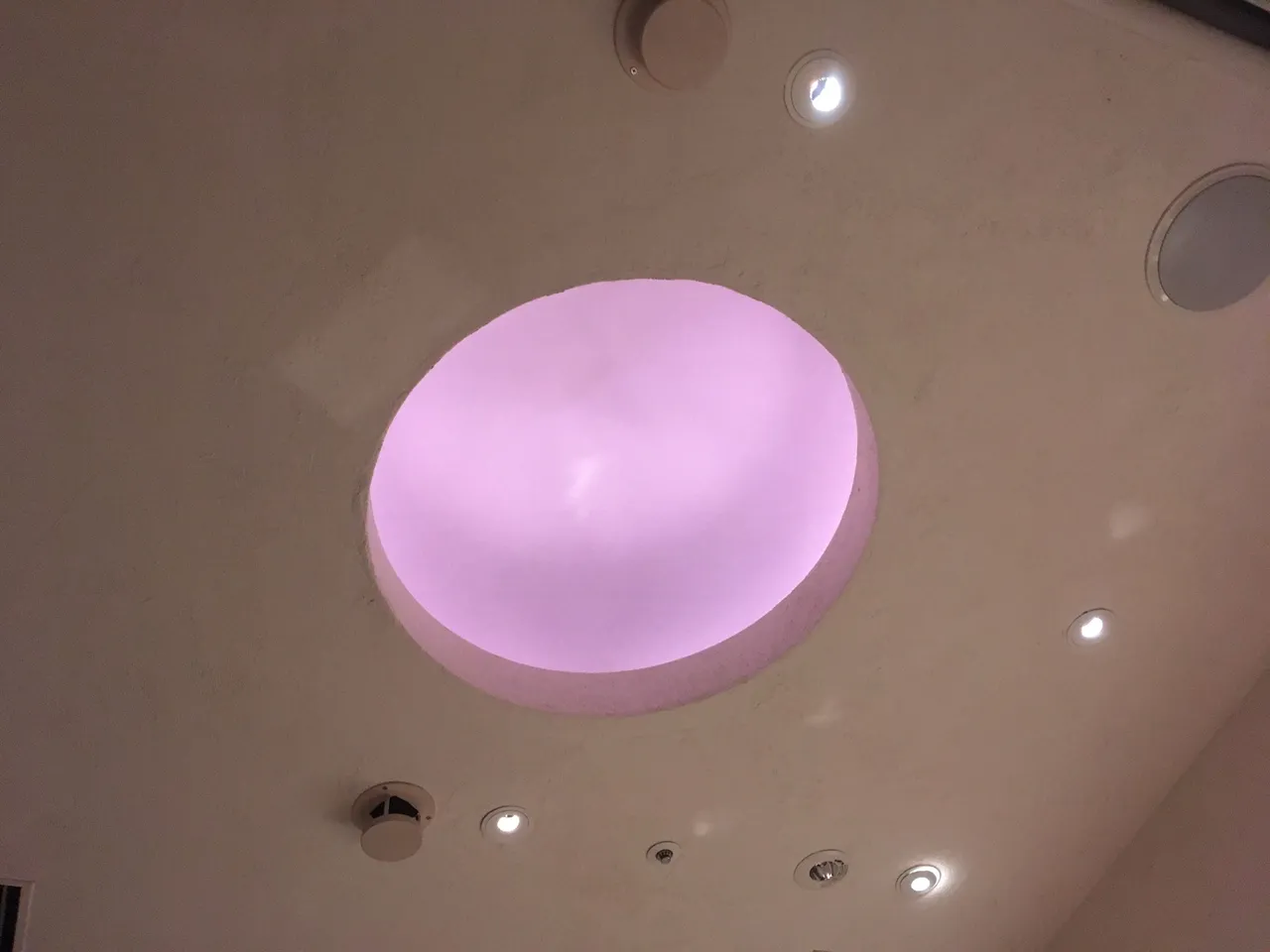 CE96875D-A855-45E2-AC23-77EDBA4D9E52.jpeg