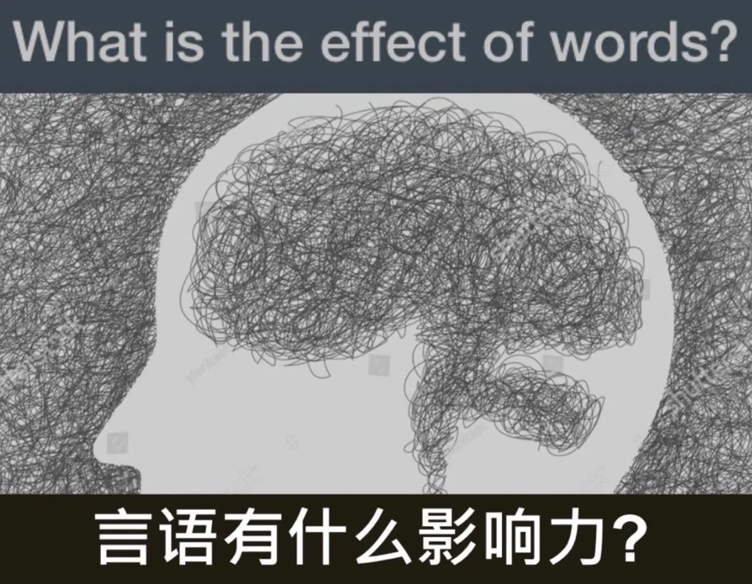 117E8556-8816-4740-9847-104CD023D6DE.jpeg