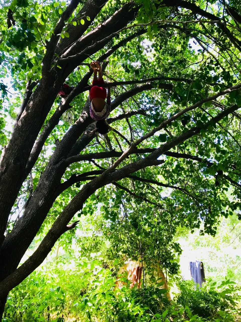 EAE5D744-9F6B-4DE2-9AEF-E98ADC91A47C.jpeg