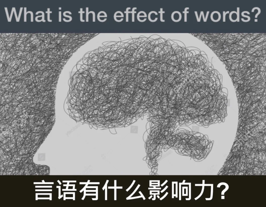 117E8556-8816-4740-9847-104CD023D6DE.jpeg