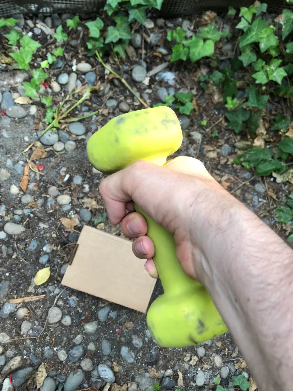 840F4277-58C2-43D7-8649-C14202BF96FC.jpeg