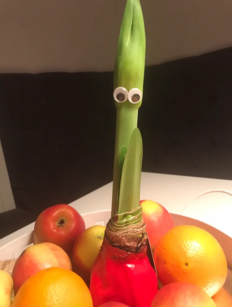 C7E3D9F4-FDD0-4FBD-93EB-4D40A028A5CD.jpeg