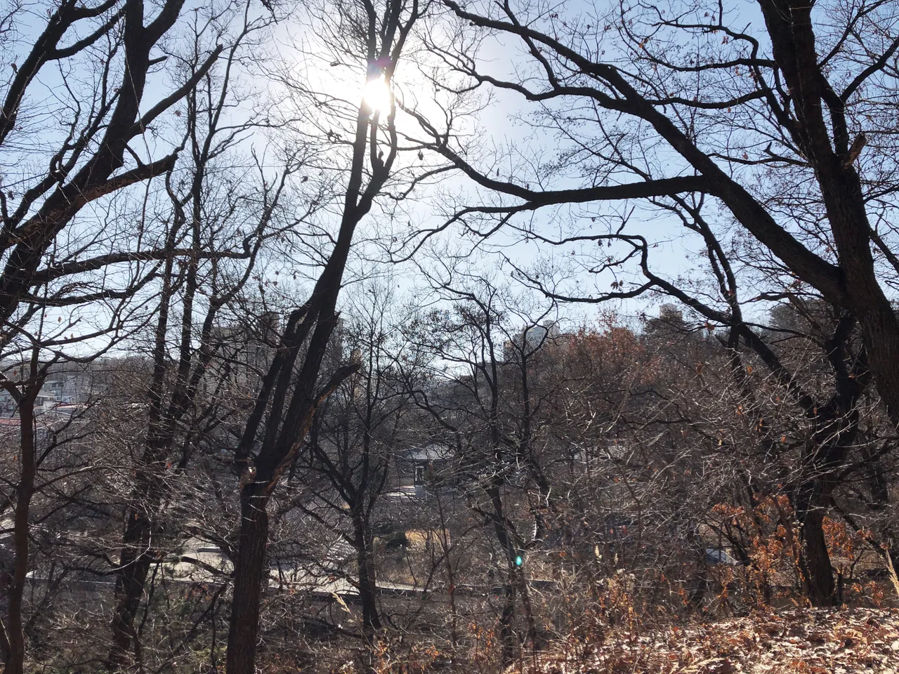 16340202-A63E-4D0E-A274-08BA9276C8B9.jpeg