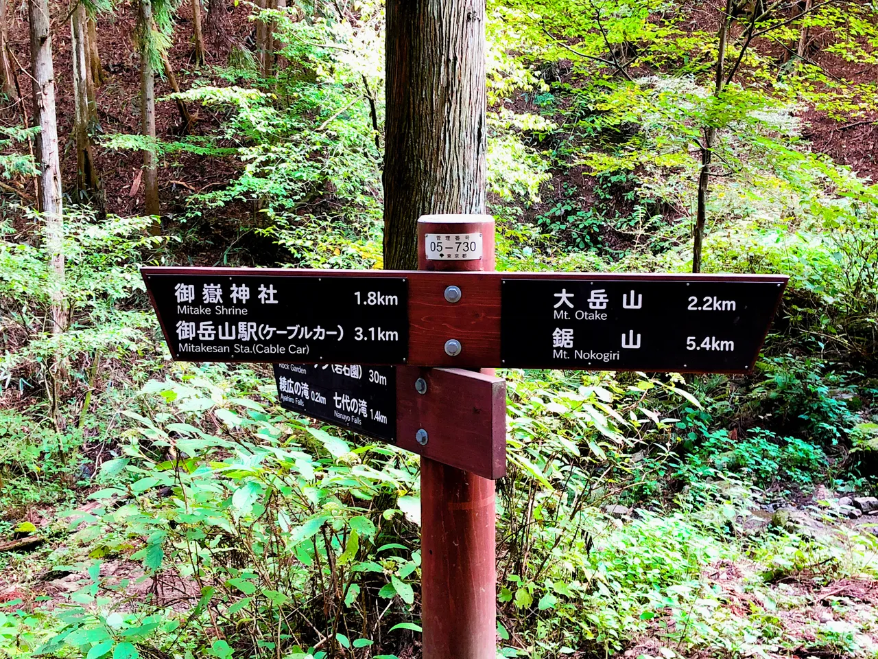 8B3DA900-562C-4302-84DD-95698D32628D.jpeg