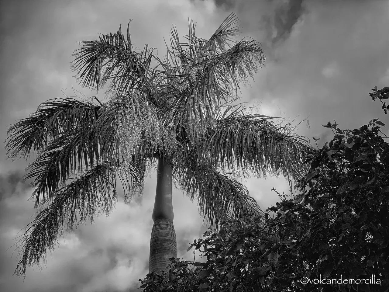 E5930819-023F-4A62-8478-F11FFFC86B07.jpeg