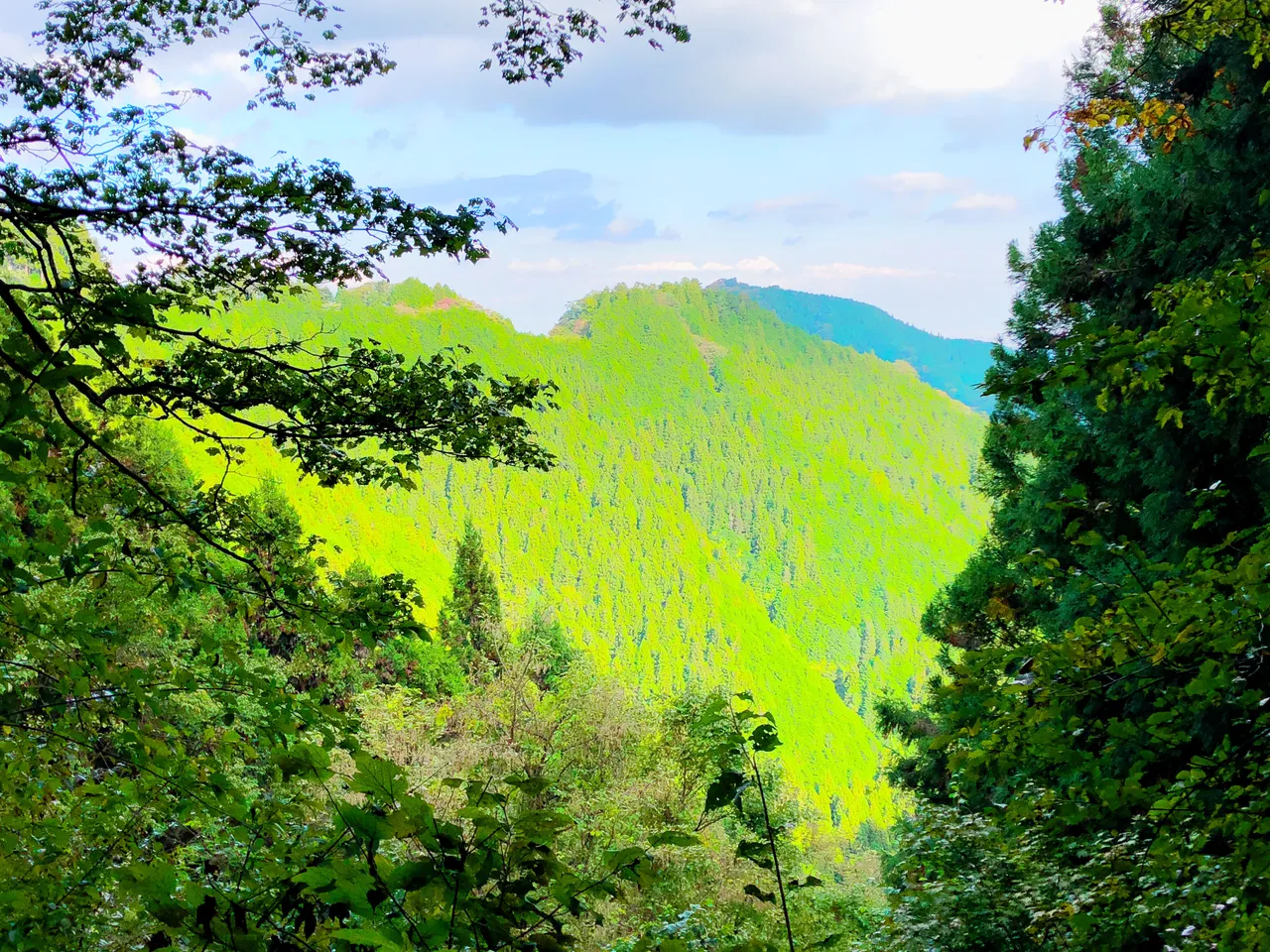 AB0D5F11-6A30-47A3-A1E2-E814C63F52F2.jpeg