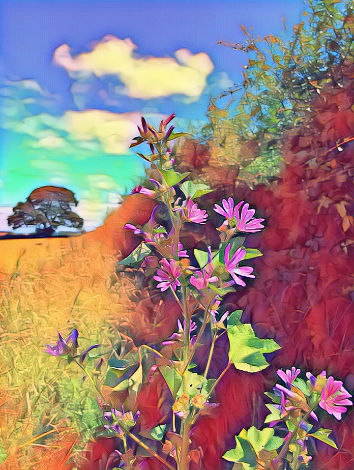 877D21A5-638D-4CDB-AD9F-BC266482D52A.JPEG