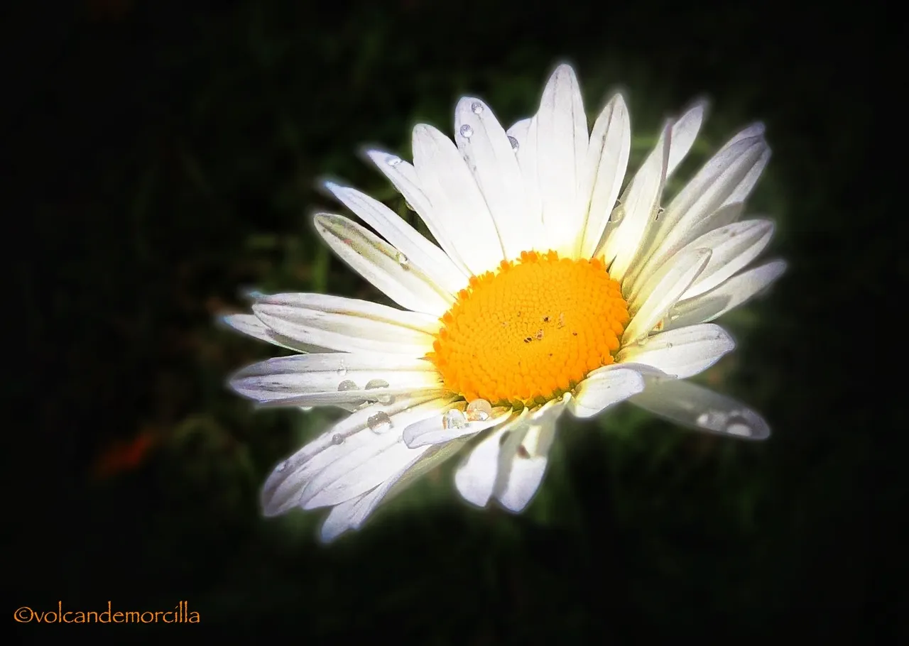 D5034FB7-4151-4DB6-9ECE-B84B8F3D22E8.jpeg