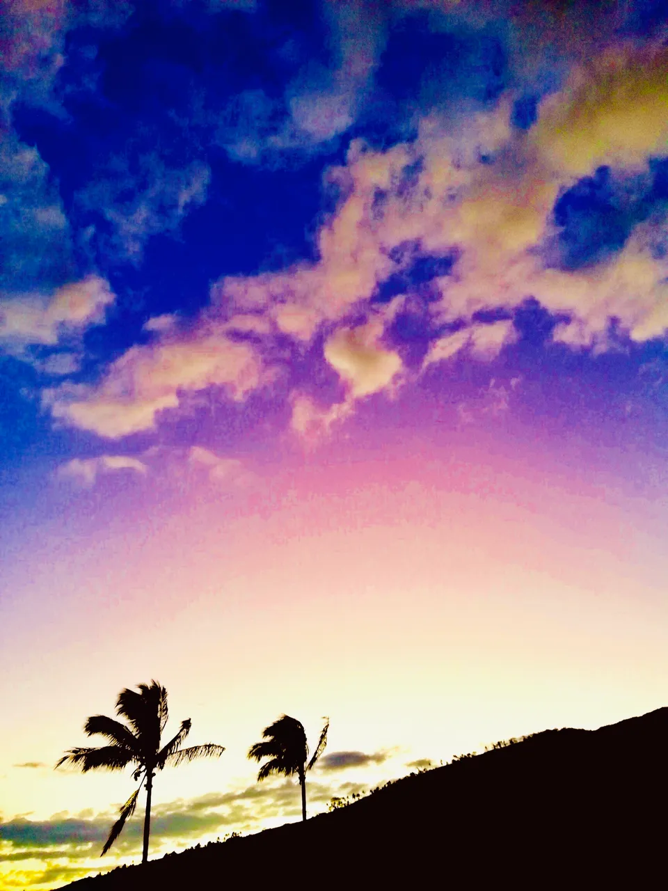 D040B173-154F-4CBE-B281-6213C4D33F7D.jpeg