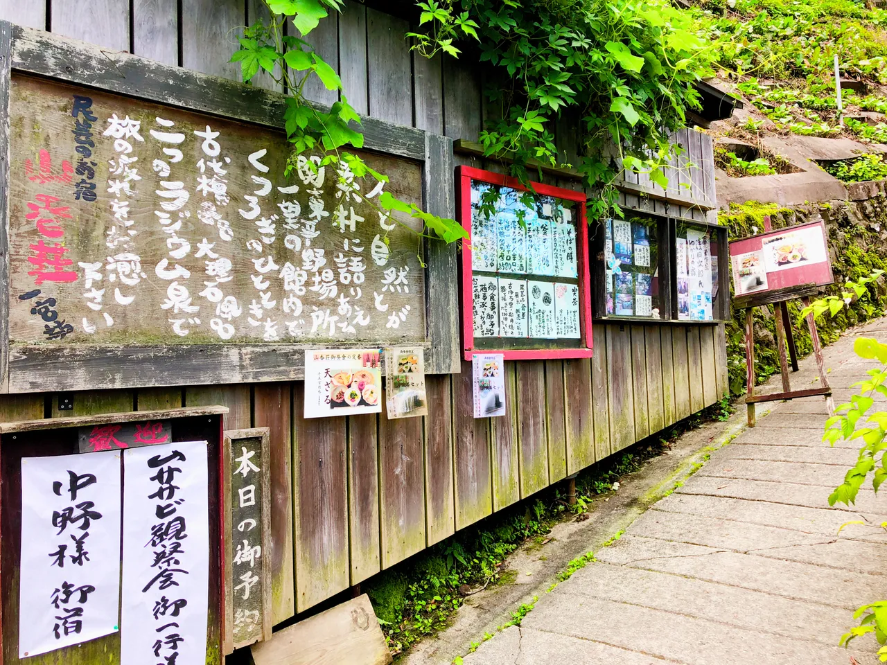 17D6501E-4B56-4D8D-A491-3BCE1B9A499B.jpeg