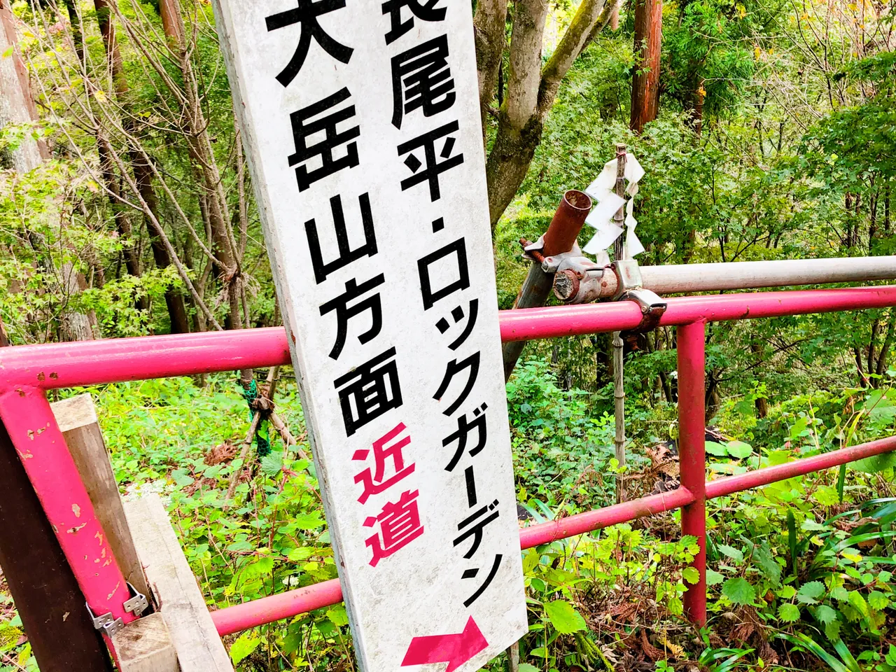 600EA00D-65FB-4F32-A3C6-81AC939383FC.jpeg