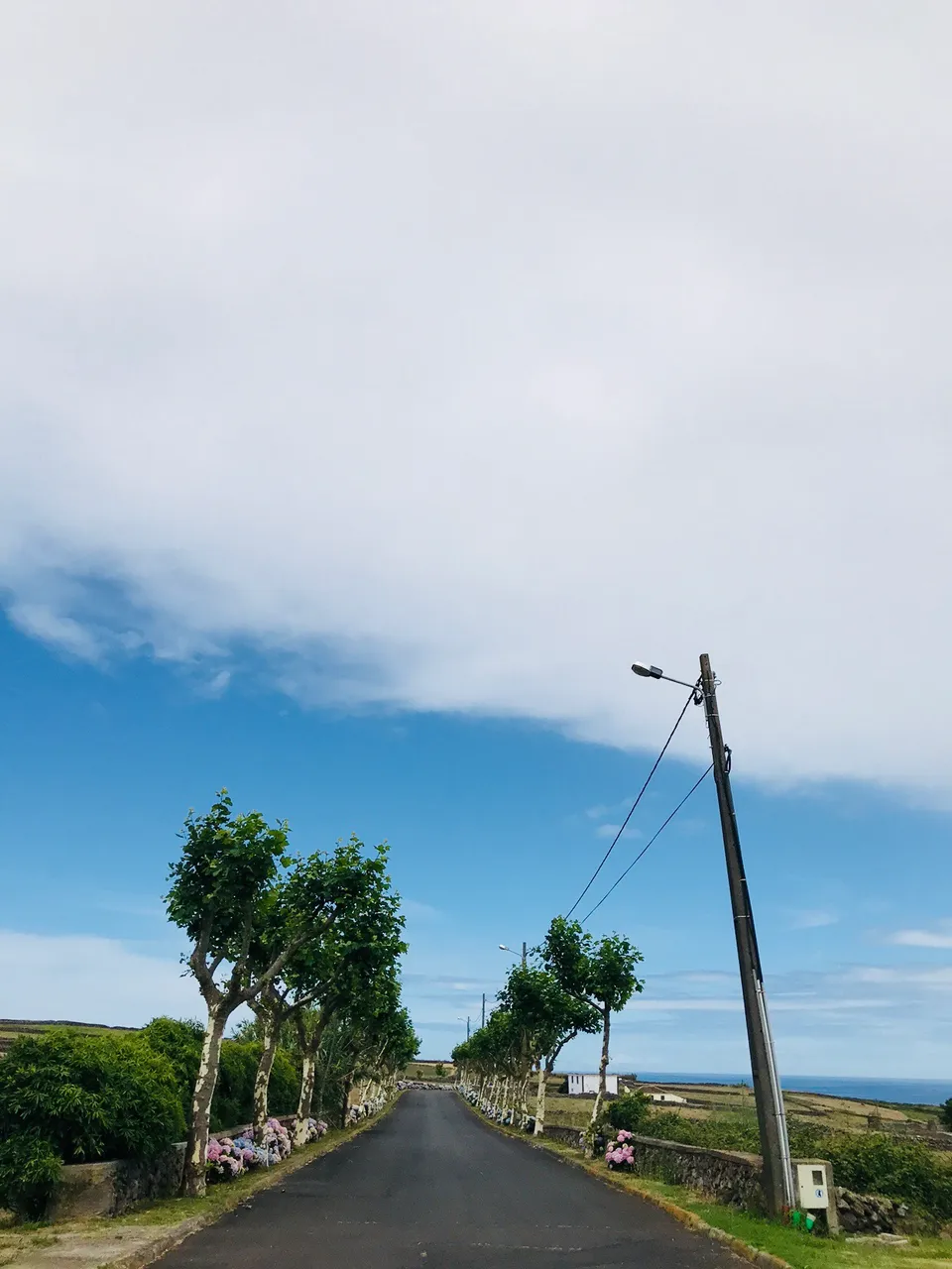 E3A9741A-F94B-4463-A1CE-CDB06ED212B6.jpeg