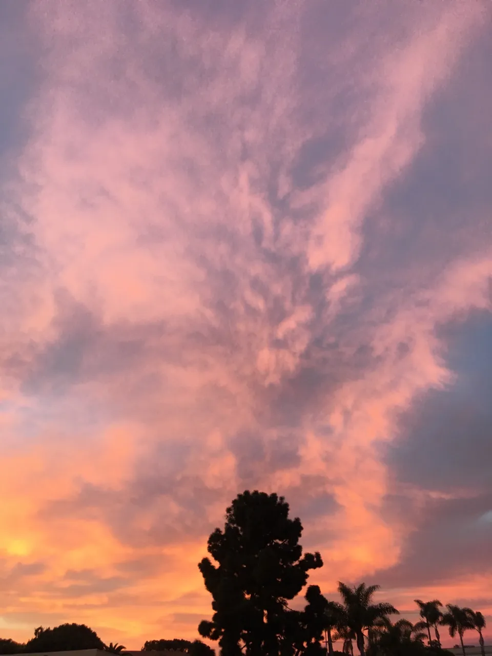 CA2768A6-9EB0-4A03-A356-AD54023F6B6A.jpeg