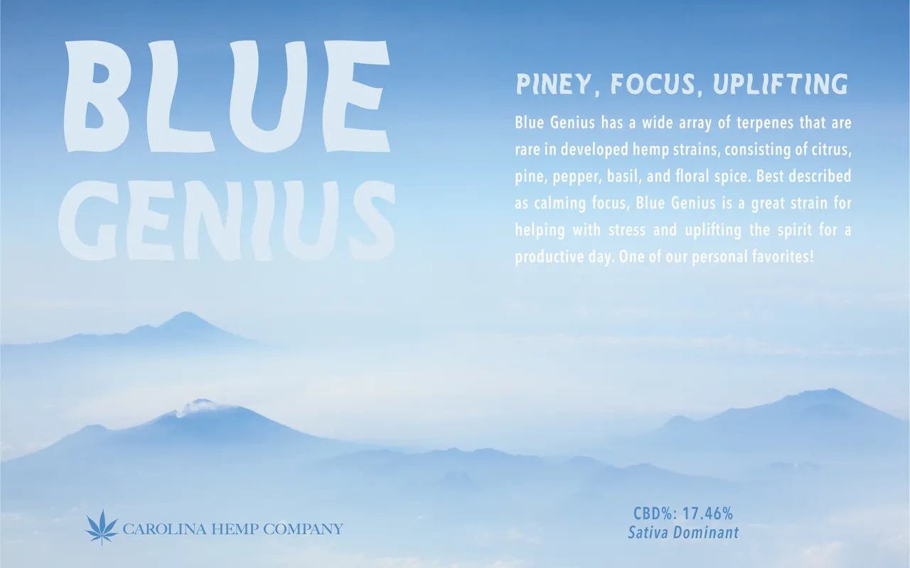 Blue Genius Full Swipe-01-02-02.jpg