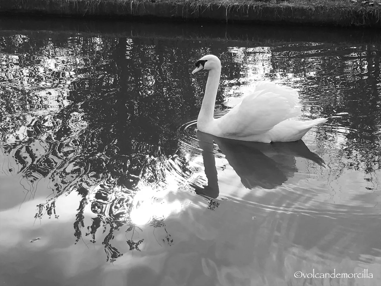 A2F912CE-805B-491F-88A0-A1FC4D452815.jpeg